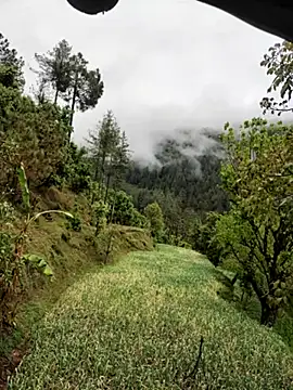 Cute Lucky online show from 8, 4, 2026