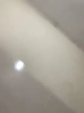 laperson online show from 26, 3, 2026