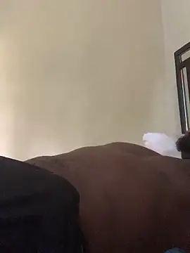 laperson online show from 4, 4, 2026