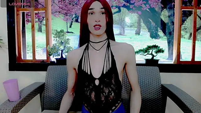 britanny noroeste online show from 13, 2, 2026