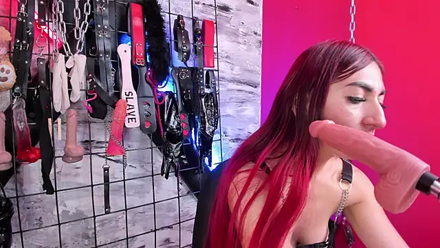 Venus Bms  online show from 3, 6, 2026