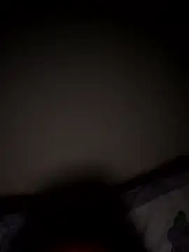 PartiedOmelet online show from 7, 1, 2026