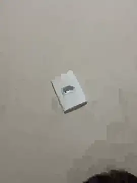 PartiedOmelet online show from 9, 1, 2026