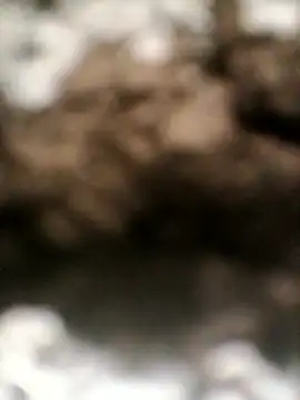 sexygosht online show from 18, 4, 2026