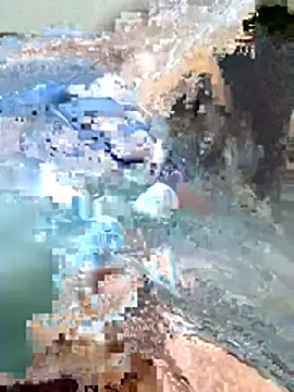 Snapshot of Harry254238 chatting on 15, 1, 2026 Harry254238 online show from 15, 1, 2026