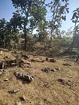 Snapshot of 88zaifkhan88 chatting on 7, 1, 2026 88zaifkhan88 online show from 7, 1, 2026