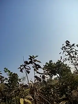 Snapshot of 88zaifkhan88 chatting on 14, 1, 2026 88zaifkhan88 online show from 14, 1, 2026