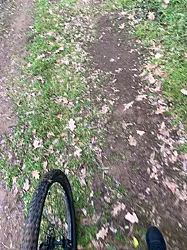 marconordic online show from 7, 2, 2026