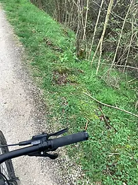 marconordic online show from 15, 3, 2026