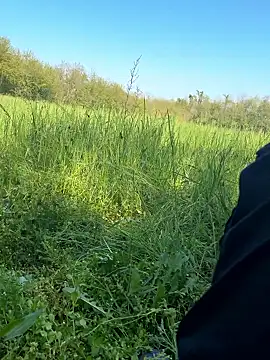 marconordic online show from 11, 4, 2026