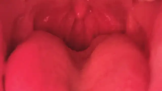 Snapshot of LT-333 chatting on 11, 1, 2026 LT-333 online show from 11, 1, 2026