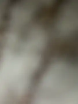 Chrisd3195 online show from 22, 2, 2026