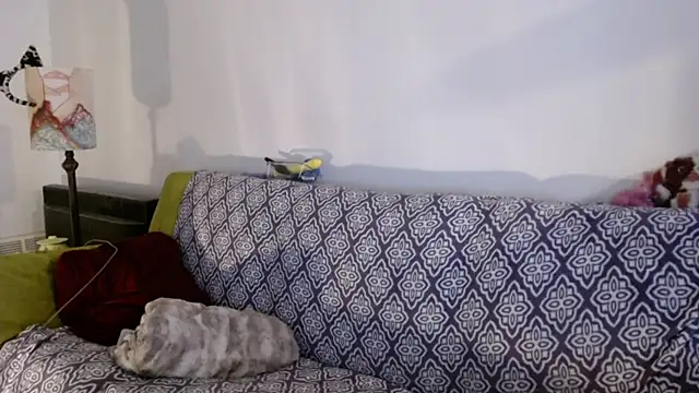 DeliaBlew online show from 4, 12, 2025