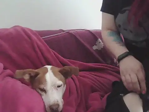 Darkytah online show from 20, 2, 2026