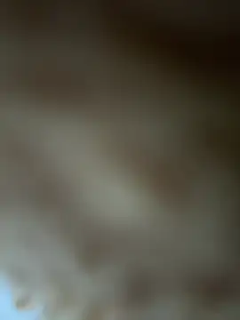 Wendy-babyy online show from 3, 6, 2026