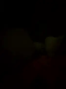 Snapshot of Davvidsm chatting on 19, 1, 2026 Davvidsm online show from 19, 1, 2026