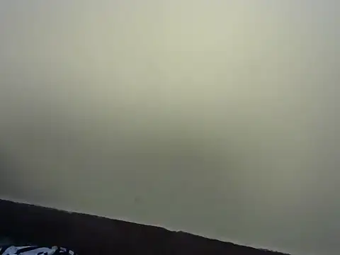 begum nepal online show from 4, 3, 2026