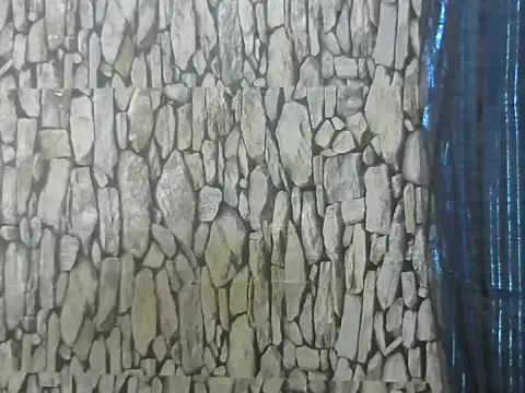 Snapshot of Exotic_indian95 chatting on 13, 3, 2026 Exotic indian95 online show from 13, 3, 2026