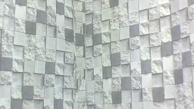 Snapshot of Exotic_indian95 chatting on 16, 4, 2026 Exotic indian95 online show from 16, 4, 2026