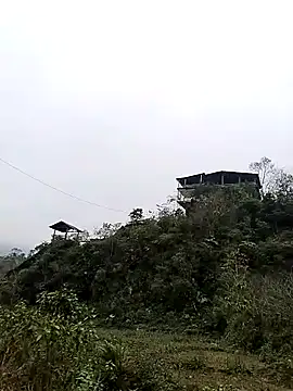 Snapshot of neko-nancy chatting on 7, 1, 2026 neko-nancy online show from 7, 1, 2026