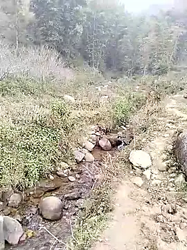 Snapshot of neko-nancy chatting on 14, 1, 2026 neko-nancy online show from 14, 1, 2026