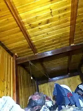 neko-nancy online show from 12, 3, 2026