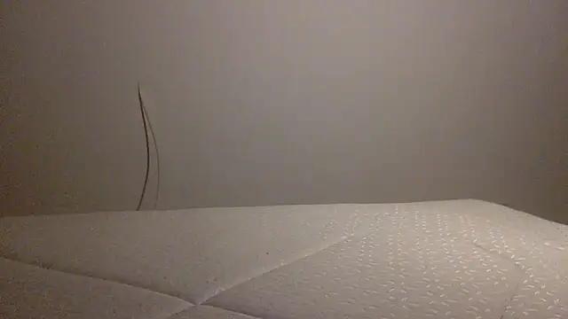 Snapshot of Palinchik chatting on 1, 2, 2026 Palinchik online show from 1, 2, 2026