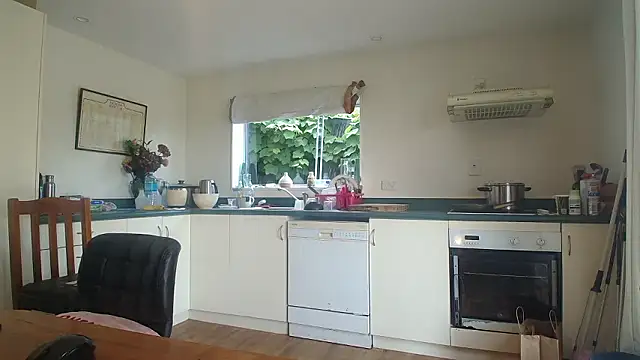 Snapshot of Andypie6 chatting on 9, 1, 2026 Andypie6 online show from 9, 1, 2026