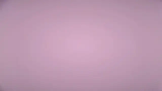 LexiMoss online show from 17, 4, 2026