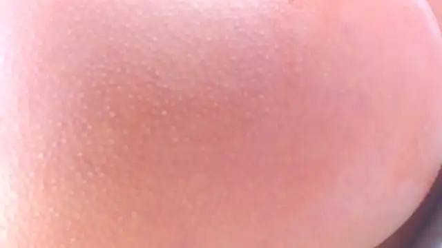 lorenaanalx online show from 1, 2, 2026