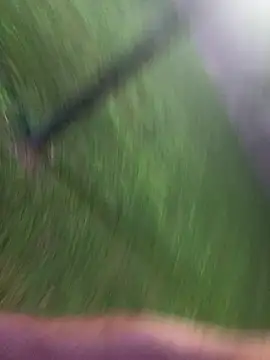 PublicBbc online show from 1, 7, 2026
