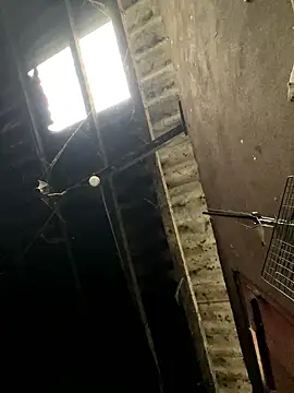 Nika-be online show from 17, 1, 2026