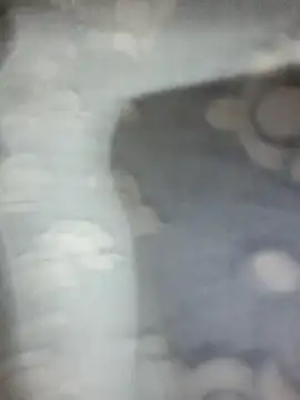 saxy bhabi 2002 online show from 19, 1, 2026