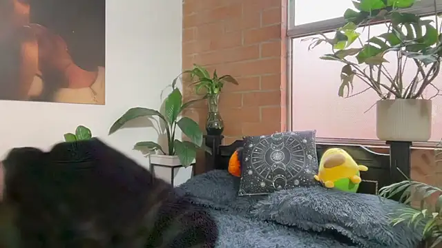 Andy Belier23 online show from 20, 2, 2026