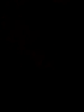 ALEXANDRA-LOVEE online show from 14, 12, 2025