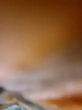 Snapshot of aman4404 chatting on 8, 1, 2026 aman4404 online show from 8, 1, 2026