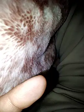 Snapshot of aman4404 chatting on 13, 1, 2026 aman4404 online show from 13, 1, 2026