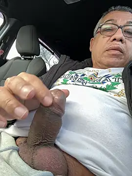 tigre6911 online show from 26, 2, 2026