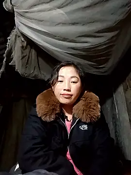 Snapshot of seacyre chatting on 11, 1, 2026 seacyre online show from 11, 1, 2026