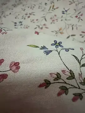 rebyreby11 online show from 1, 4, 2026