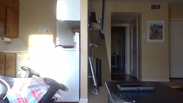 KingDes55 online show from 31, 3, 2026