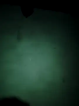 vishalk12346 online show from 13, 1, 2026