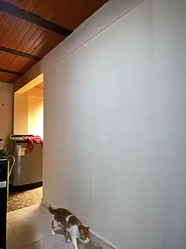 Noxveeltt online show from 1, 4, 2026