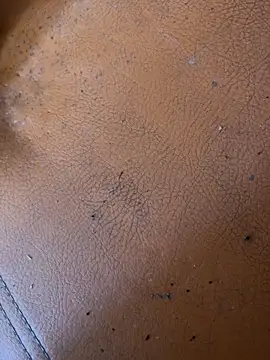 solecito sex  online show from 2, 6, 2026