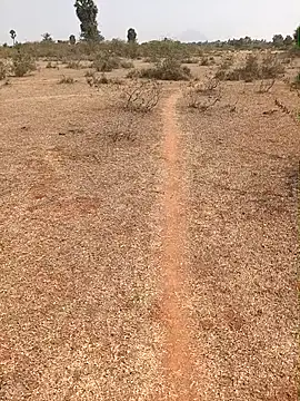 Snapshot of Tamilpaiyan07 chatting on 9, 2, 2026 Tamilpaiyan07 online show from 9, 2, 2026