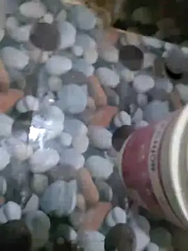 hydhunk26 online show from 8, 3, 2026