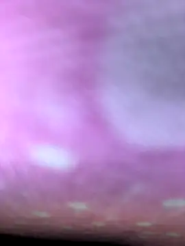 m9awadan online show from 5, 1, 2026