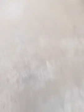 daksh  8 inche online show from 7, 4, 2026