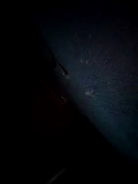 chapa18 online show from 12, 4, 2026