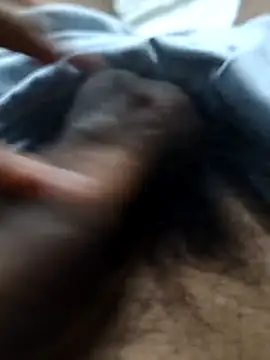 Javi464  online show from 26, 2, 2026